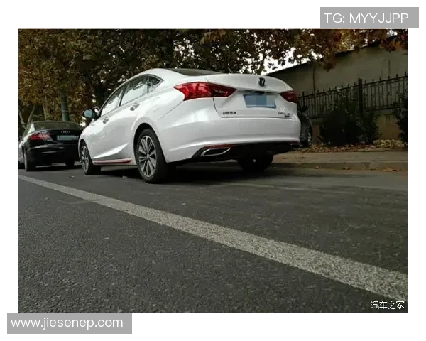 姚明对未来篮球明星的看法与期待分析