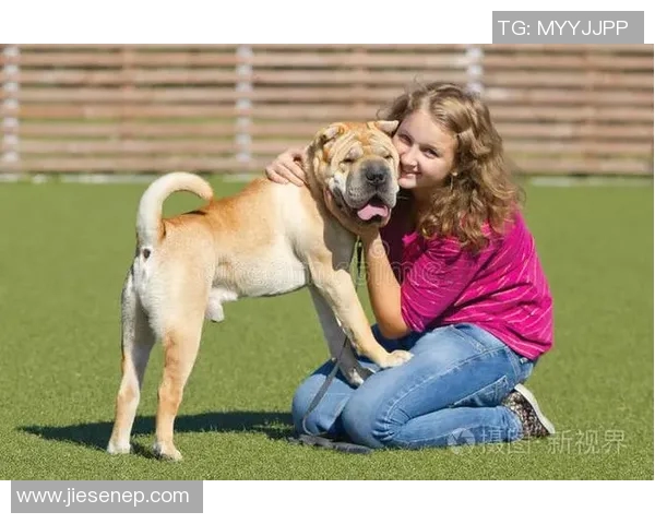 养狗的足球明星们如何平衡事业与宠物生活的精彩故事 养狗的足球明星们如何平衡事业与宠物生活的精彩故事