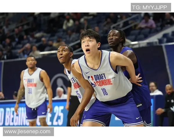 篮球死亡明星的传奇与影响力探讨：从赛场到文化的深远影响